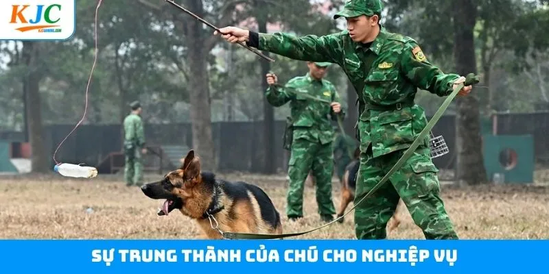Sự trung thành và sẵn sàng làm theo mệnh lệnh