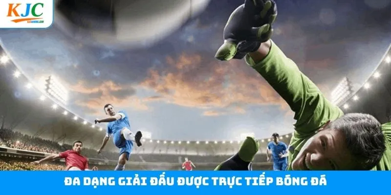 Trực tiếp bóng đá đầy đủ các giải đấu từ lớn tới nhỏ Trực tiếp bóng đá đầy đủ các giải đấu từ lớn tới nhỏ